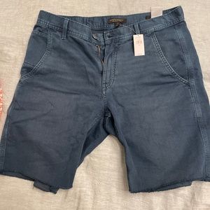 Brand new, blue shorts - size 31 Men’s (from Banana Replublic)